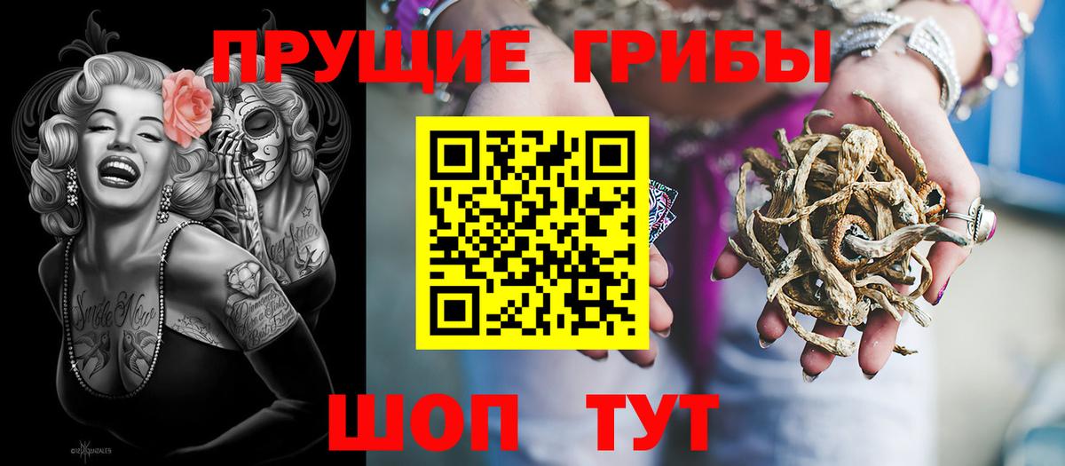 Галлюциногенные грибы Cubensis Славянск-на-Кубани
