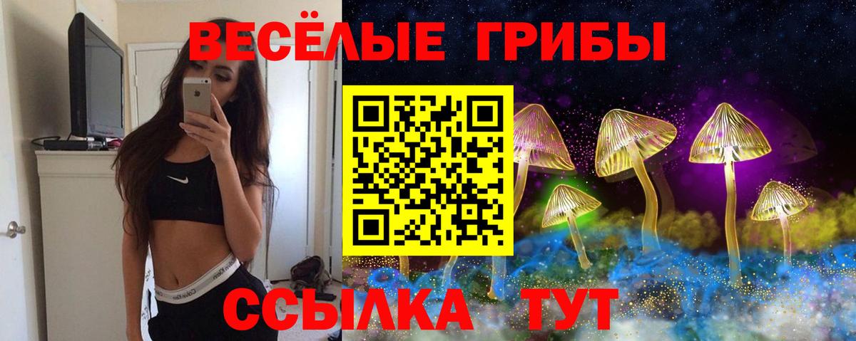 купить закладку  Псилоцибиновые грибы GOLDEN TEACHER  Вход с VPN  Славянск-на-Кубани 